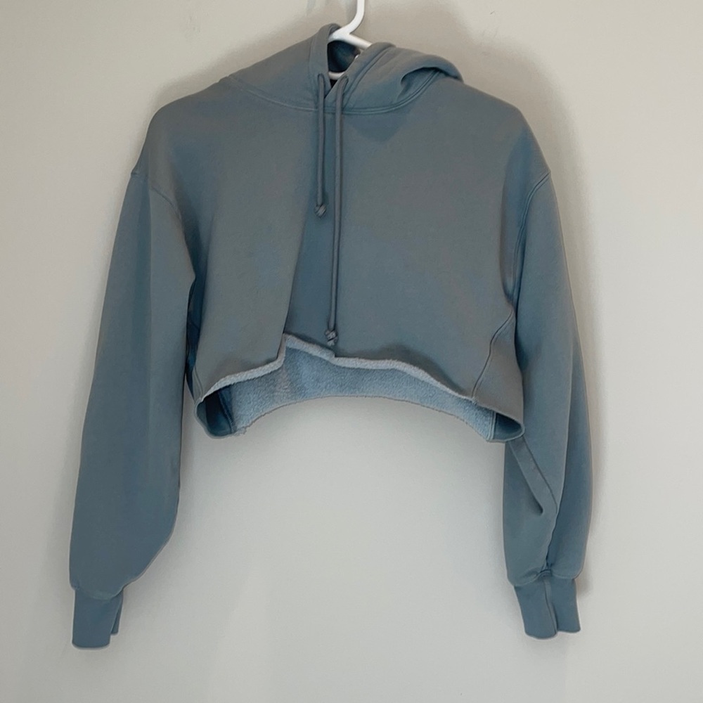 Aritzia TNA Cozy Fleece Boyfriend Cropped Hoodie